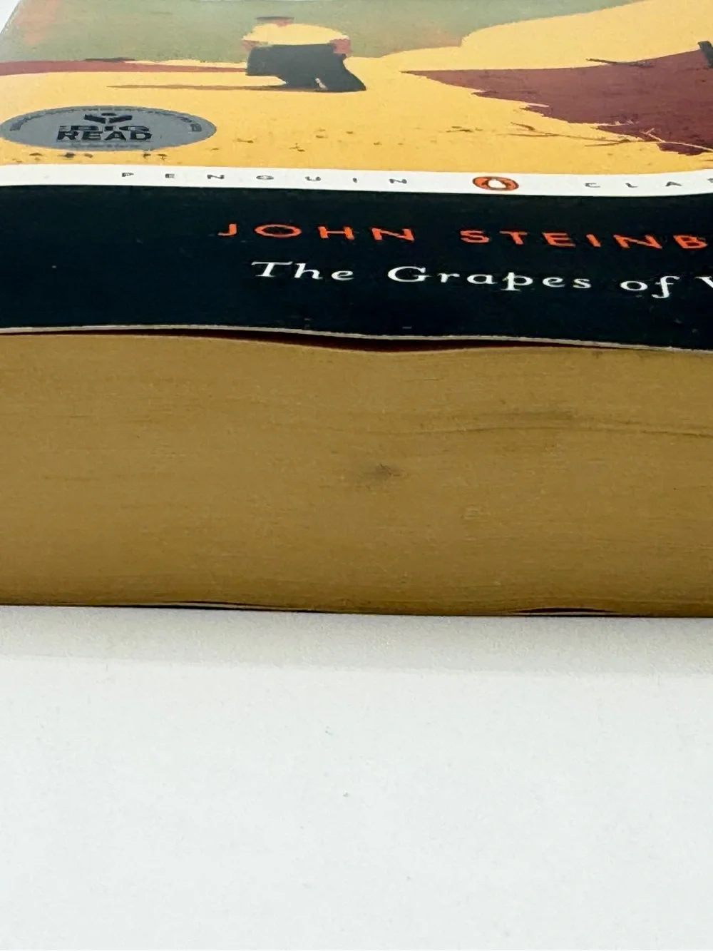 The Grapes of Wrath by John Steinbeck (Paperback Book, 2006)